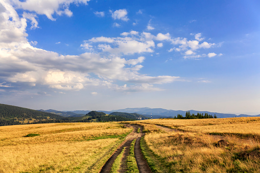 Landscape view in the Apuseni mountains of Transylvania