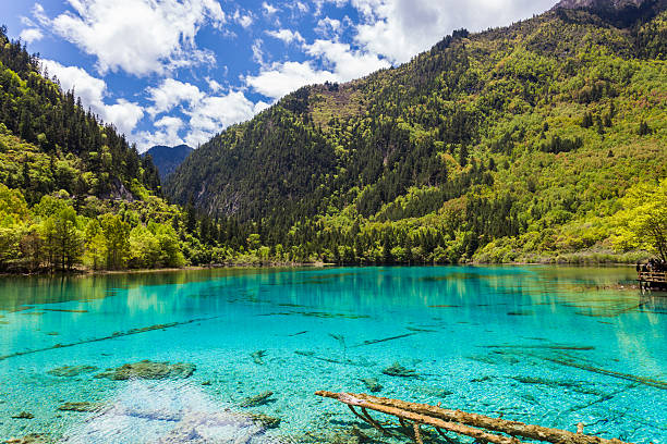 Landscape view of Five-Flowers Lake in Sichuan, China View of the Five-Flowers Lake at Jiuzhaigou  biosphere 2 stock pictures, royalty-free photos & images