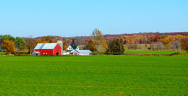 landscape view of red midwestern dairy farmhouse and land - häst jordbruk bildbanksfoton och bilder
