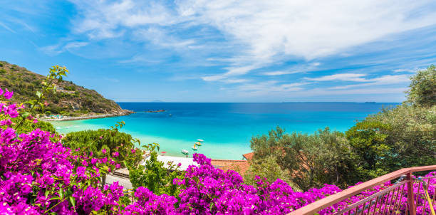 paesaggio con spiaggia cavoli dell'isola d'elba, toscana, italia - isola d'elba foto e immagini stock
