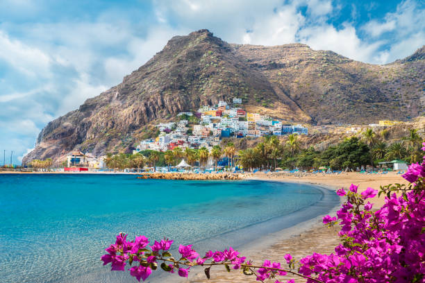 Landscape with Las Teresitas beach Landscape with Las Teresitas beach and San Andres village, Tenerife, Canary Islands, Spain canary islands stock pictures, royalty-free photos & images