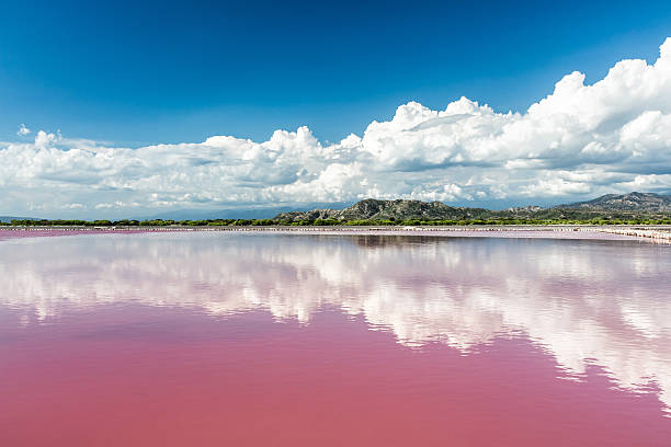 Landscape with Pink water salt lake in Dominican Republic stock photo