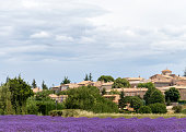 Landscape with vibrant purple Lavender field and small old houses of typical village in Southern France at blooming season