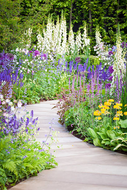 Landscaped Garden Flower bed garden path stock pictures, royalty-free photos & images