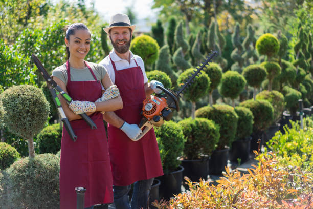 Landscapers in the garden stock photo