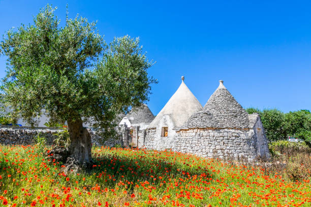 Landscapes of Puglia-Italy Trulli house near Alberobello,Puglia,Italy puglia stock pictures, royalty-free photos & images