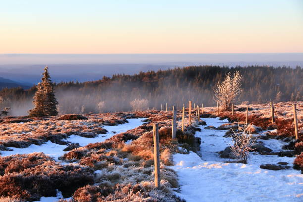 Landscapes of the Vosges mountains in winter - Gazon-du-Faing The Gazon du Faing in the Vosges in winter munster france stock pictures, royalty-free photos & images
