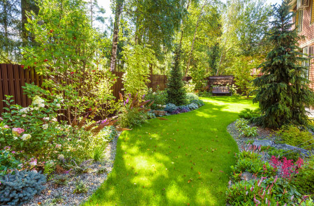 녹색 홈 가든에서 조경. 주거 용 주택에서 식물과 꽃조경 디자인. 뒤뜰에있는 멋진 조경 된 정원의 경치. - garden 뉴스 사진 이미지