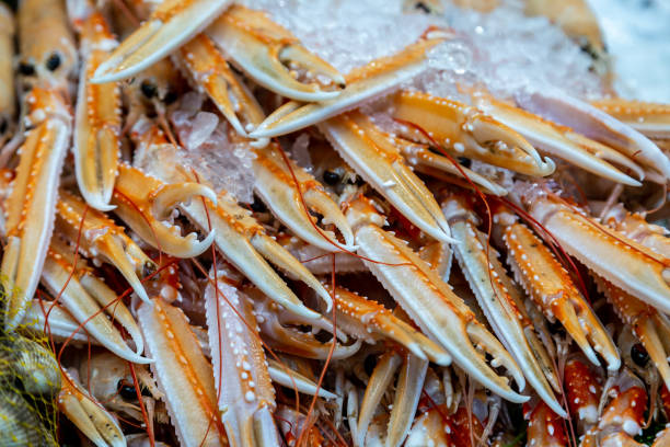 Langoustine Claws on Ice on a Market Stall stock photo