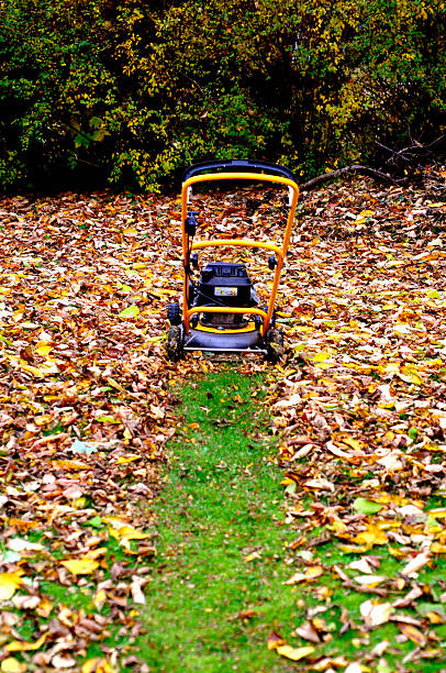 Lanmowing and leaf cutting stock photo