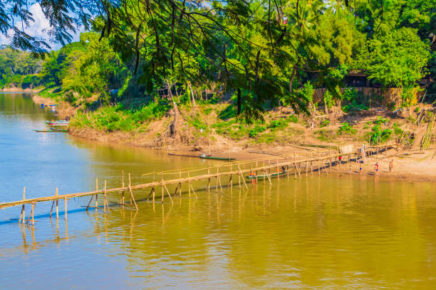 Laotian lao people swim at Bamboo Bridge in the Mekong River in Luang Prabang Laos. stock photo