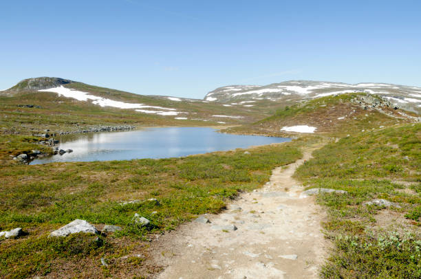 Lapland landscape and hiking path Lapland landscape: hiking path in Malla Strict Nature Reserve in Kilpisjarvi, Lapland, Finland, Europe kilpisjarvi lake stock pictures, royalty-free photos & images