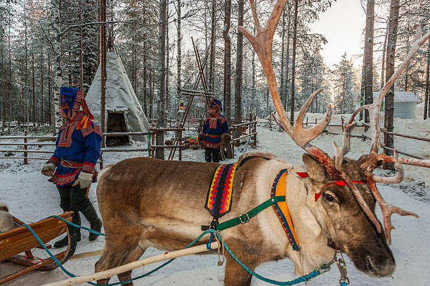 Lapland (Finland). Two Sami people and reindeer near a “lavvu” stock photo