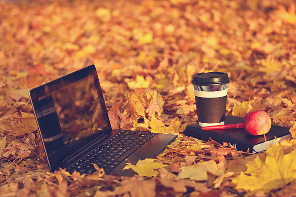 Laptop, coffee and diary stock photo