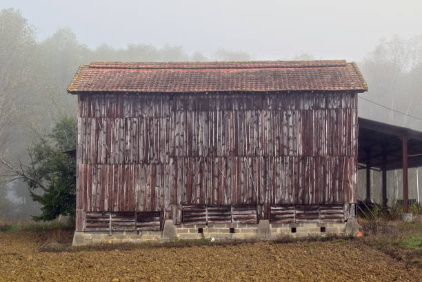 Large barn in field stock photo