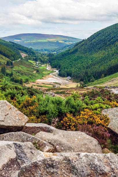 Large boulders and a meandering stream flowing down a hill through the Irish Countryside into a valley near Dublin stock photo