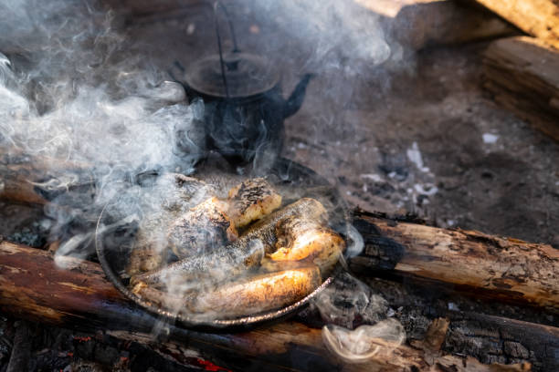 Large chunks of freshly caught fish are fried in a skillet over a campfire, next to a kettle, in a camping, on a summer day. stock photo
