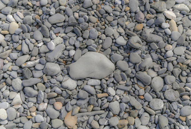 Large flat grey stone in the middle of large beach pebbles stock photo