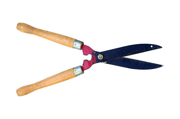 Large Garden Shears on aa white background Large Garden Shears ... or hedge shears ... isolated on white with copy space hedge clippers stock pictures, royalty-free photos & images