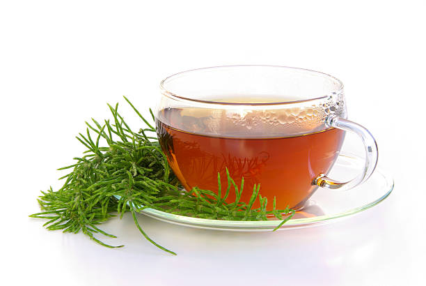 A large glass cup of tea on a saucer with a plant stock photo
