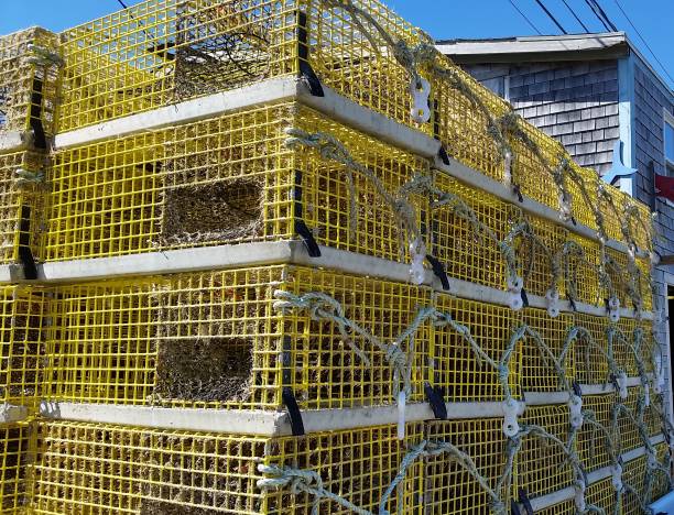 Large Group of Lobster Cages on the Side of a Fishing Pier stock photo
