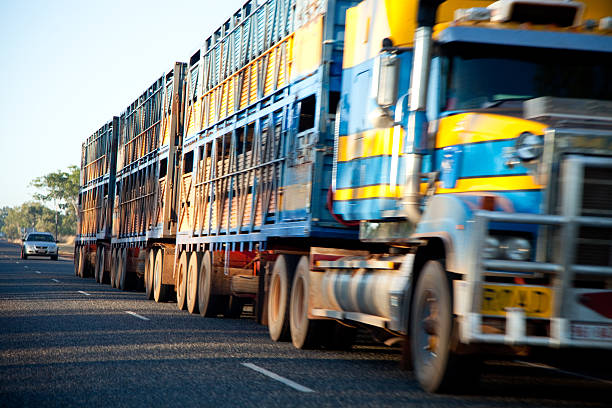 Large long Cattle Truck or Lorry driving on the road stock photo