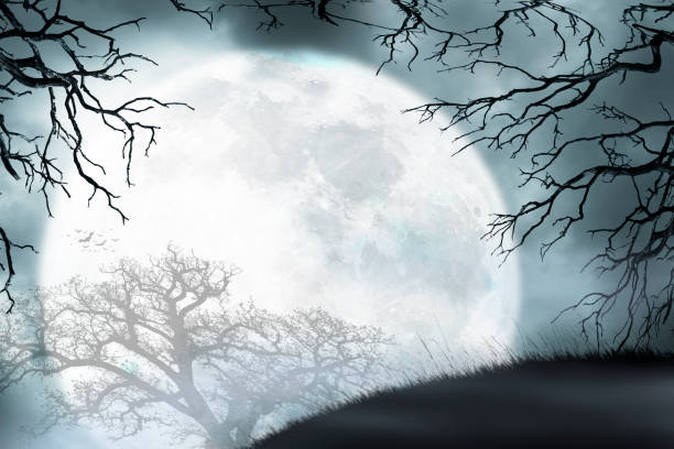 A large full moon rises over a small grassy hill as it is framed by the bare branches of two trees.