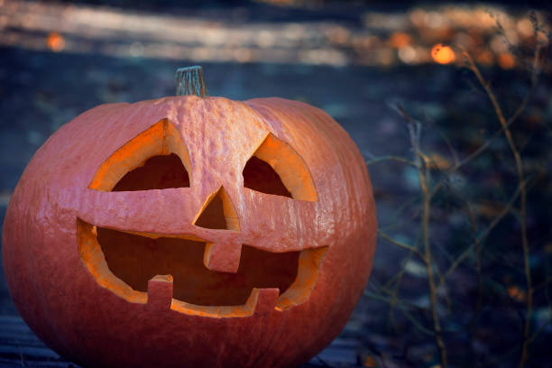 A large pumpkin with a smiling face in the twilight. The Halloween symbol on the background of a forest path. A terrible holiday photo. stock photo