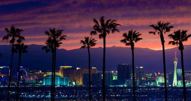 Las Vegas A stock photo of Las Vegas, Nevada with Palm trees in the foreground. Shot at Sunset. las vegas stock pictures, royalty-free photos & images