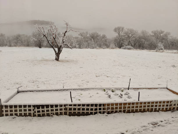 Last of winter snow on pasture and garden box in Rockville Utah stock photo