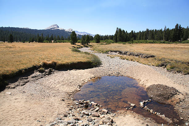 last water - dry creek - droogte stockfoto's en -beelden