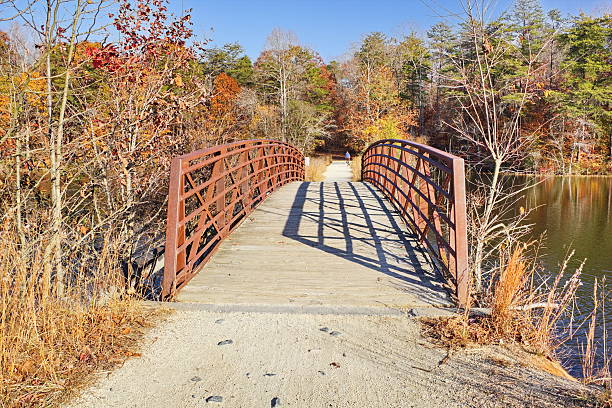 Late Fall on the recreational trail, North Carolina stock photo