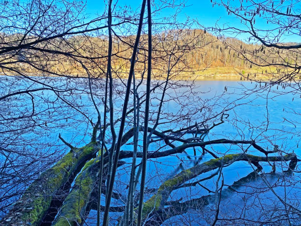 Late winter and early spring on the Türler Lake or Türlersee Lake (Tuerlersee oder Turlersee), Aeugst am Albis - Canton of Zürich, Switzerland (Schweiz) stock photo