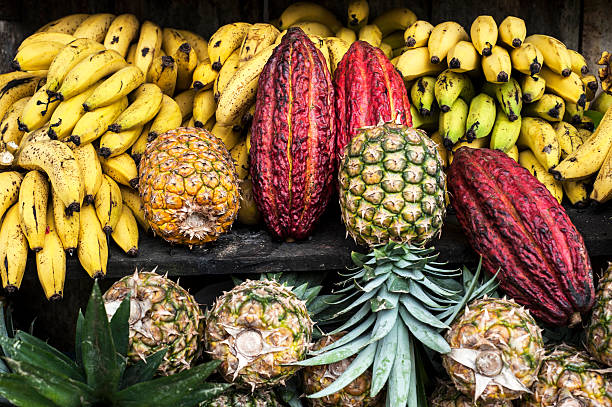 lateinamerika street market, ecuador - pineapple plantation stock-fotos und bilder