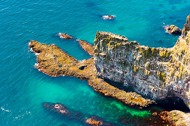 latrabjarg bird cliffs, Iceland stock photo