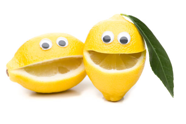 Laughing lemons - 2 unequal siblings Laughing lemons - 2 unequal siblings lemon fruit photos stock pictures, royalty-free photos & images