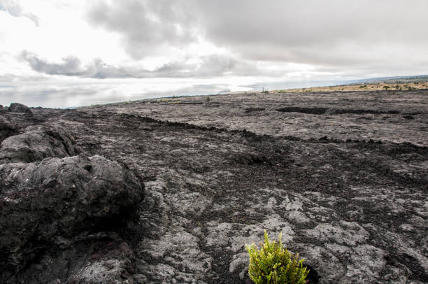 Lava Field stock photo