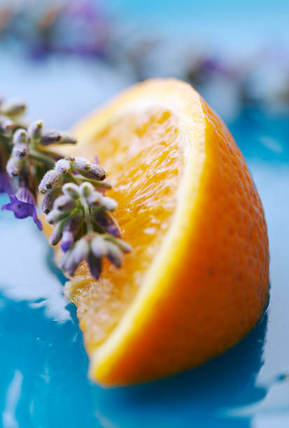 lavender and orange stock photo