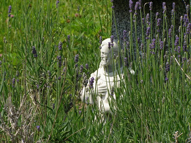 St Francis Of Assisi Garden Statue Stock Photos Pictures