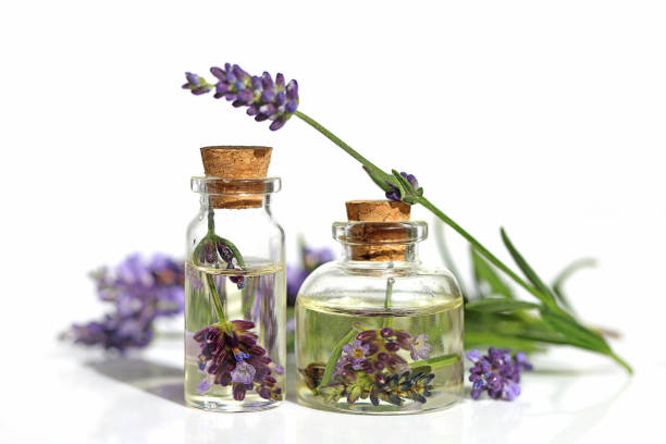 lavendel olie. olie met lavendel bloem in een klein flesje van glas en takjes lavendel op een witte achtergrond. botanische cosmetica concept - essential oils smell stockfoto's en -beelden