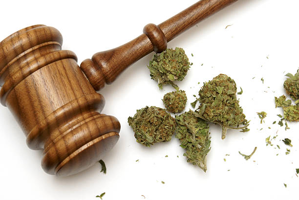 Law and Marijuana Marijuana and a gavel together for many legal concepts on the drug. sentencing stock pictures, royalty-free photos & images