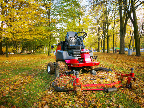 2,074 Autumn Lawn Care Stock Photos, Pictures & Royalty-Free Images - iStock