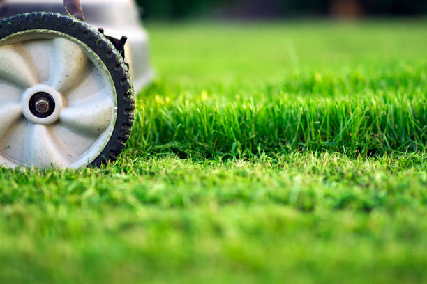 Lawn mower on green grass stock photo