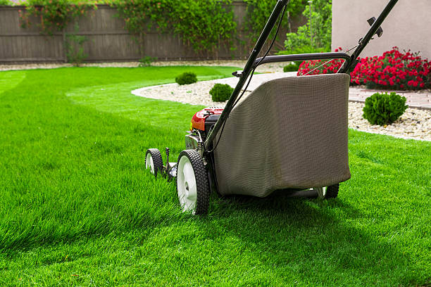 Lawn mower stock photo