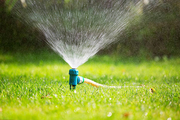 Lawn sprinkler spaying water over green grass stock photo