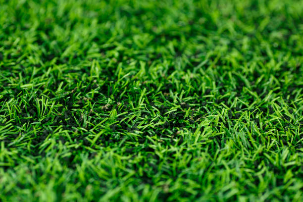 Lawns, artificial, sports stock photo