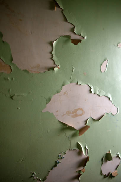 Lead based paint peeling on an old wall. stock photo