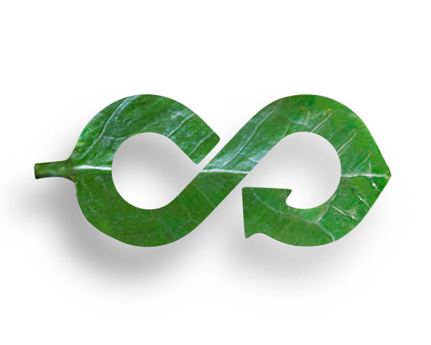 Leaf in form of arrow infinity recycling shape, circular economy Green Eco-friendly and circular economy concept, leaf in form of arrow infinity recycling shape, isolated on white background. circular economy stock pictures, royalty-free photos & images