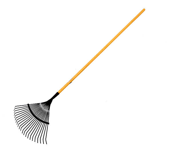 Leaf Rake With Clipping path stock photo