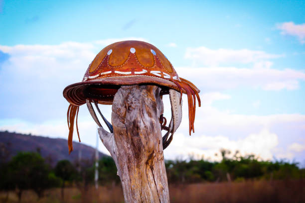 Leather has Leather hat, symbol of cowboys and country man. caatinga stock pictures, royalty-free photos & images